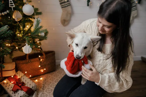 Mujer Con Estilo Suéter Acogedor Jugando Con Sombrero Santa Con — Foto de Stock