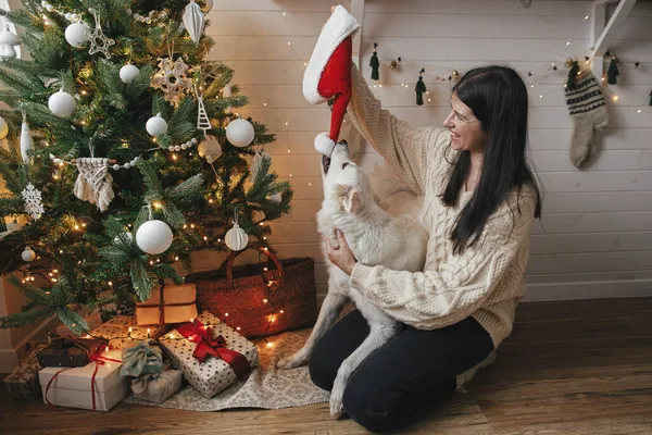 Стильная Женщина Уютном Свитере Играет Шапку Санты Очаровательной Собакой Рождественской — стоковое фото