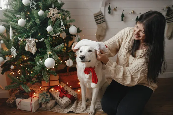 Stijlvolle Vrouw Zet Schattige Hond Santa Hoed Bij Kerstboom Met — Stockfoto