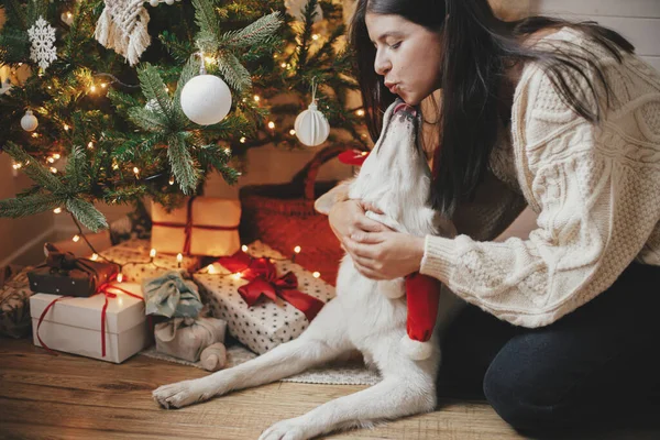 クリスマスツリーの下でギフトやライトで愛らしい犬を愛撫居心地の良いセーターのスタイリッシュな女性 幸せな若い女性抱擁とお祝いのスカンディナヴィアの部屋でかわいい白い犬にキス ハッピー ホリデー — ストック写真