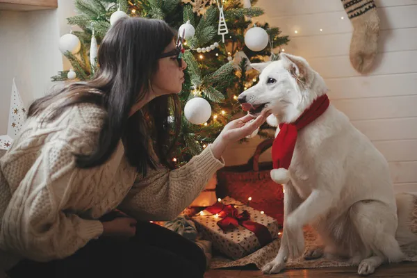 Stijlvolle Vrouw Gezellige Trui Spelen Met Schattige Hond Onder Kerstboom — Stockfoto