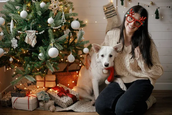 时髦的快乐女人和可爱的狗坐在圣诞树下 带着礼物和灯光 年轻的女性和可爱的白狗在节日庆典庆祝在丑闻室 假期快乐 — 图库照片