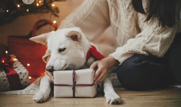 Vrolijk Kerstfeest Stijlvolle Vrouw Schattige Hond Met Kerstcadeau Onder Kerstboom — Stockfoto