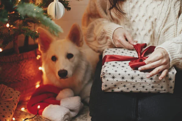クリスマスツリーの下にある愛らしい犬とクリスマスギフトをライトで包んだ居心地の良いセーターで女性の手 お祝いのスカンディナヴィアの部屋に赤いリボンが付いた若い女性の包装 幸せな休日 — ストック写真