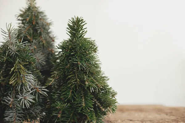 의나무 화려하고 전나무들이 크리스마스의 손으로 장식용 나무들 대기권 크리스마스와 즐거운 — 스톡 사진