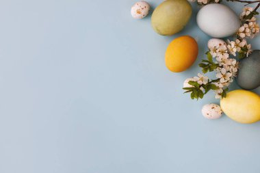 Mutlu Paskalyalar! Şık paskalya yumurtaları ve kiraz çiçekleri mavi arka planda yatıyordu. Modern renkli doğal boyanmış yumurta, şeker ve beyaz çiçeklerin sınır çizimi. Tebrik kartı, boşluk veya metin
