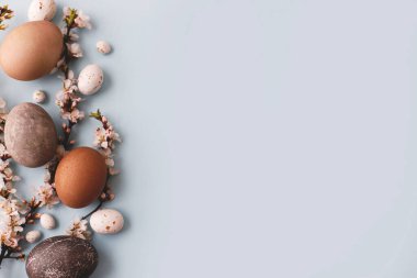 Mutlu Paskalyalar! Şık paskalya yumurtaları ve kiraz çiçekleri mavi arka planda yatıyordu. Modern doğal boyanmış yumurta, şeker ve beyaz çiçeklerin sınır düzeni. Tebrik kartı, boşluk veya metin