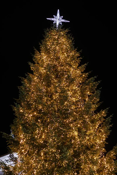 夜に輝く星と金色の光を持つスタイリッシュなクリスマスツリー 大気魔法の時間だ ヨーロッパの都市広場や休日のフェアのクリスマスのお祝いの装飾 メリークリスマス — ストック写真