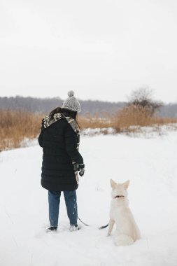 Karlı kış parkında sevimli bir köpekle yürüyen şık hippi kadın. Evcil hayvanla yürüyüş ve seyahat. Samimi elbiseli genç bir kadın, beyaz İsviçreli çoban köpeğiyle yürüyüş yapıyor. Gezgin şehveti. Metin için boşluk