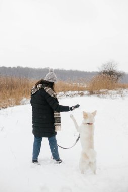 Karlı kış parkında sevimli köpekle oynayan şık hippi kadın. Evcil hayvanla yürüyüş ve seyahat. Samimi giysiler içinde genç, mutlu bir bayan, İsviçreli çoban köpeği eğitiyor. Sadık yoldaş.