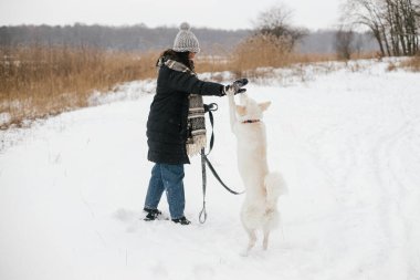 Karlı kış parkında sevimli köpekle oynayan şık hippi kadın. Evcil hayvanla yürüyüş ve seyahat. Samimi giysiler içinde genç, mutlu bir bayan, İsviçreli çoban köpeği eğitiyor. Sadık yoldaş.
