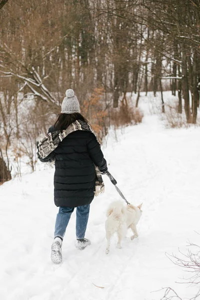 Mulher Hipster Elegante Andando Com Cão Bonito Parque Inverno Nevado — Fotografia de Stock