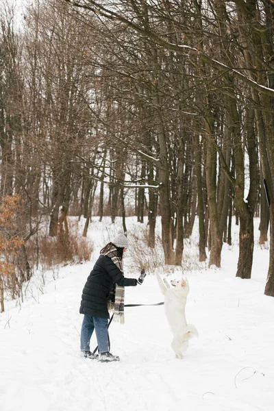 Mulher Hipster Elegante Brincando Com Cão Bonito Parque Inverno Nevado — Fotografia de Stock
