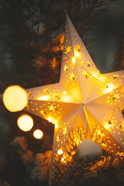 Veselé Vánoce Velká Vánoční Hvězda Zářící Zasněžené Borovici Zimním Parku — Stock fotografie