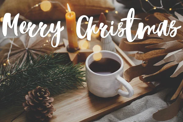 祝你圣诞快乐 一杯热茶 圣诞灯 冬天的土拨鼠节日的问候卡片 手写的标志 假期快乐 — 图库照片