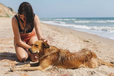 Happy woman caressing cute dog on sunny sandy beach at sea. Summer vacation with pet. Young female relaxing and enjoying holiday with adorable golden doggy on tropical island