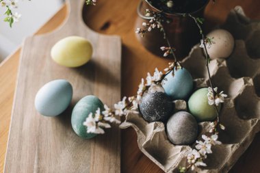 Kırsal masada kiraz çiçekli paskalya yumurtaları. Mutlu Paskalyalar! Kağıt tepside doğal renklerle boyanmış yumurtalar tahta tahtada ve kır evinde bahar çiçekleri. Huysuz atmosferik görüntü