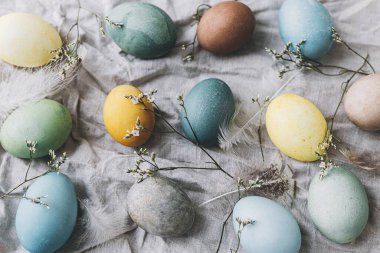 Paskalya yumurtaları ve yumuşak çiçekli çarşaf peçeteleri. Mutlu Paskalyalar! Şık doğal boyalı pastel renkli yumurta, bahar çiçekleri ve tüy kompozisyonu. Kırsal yaşam üst görünümü