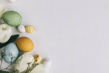 Paskalya kırsalı düzlüğü. Paskalya yumurtaları ve laleler beyaz ahşap zemin üzerinde ve yazı için yer var. Mutlu Paskalyalar! Doğal boyanmış renkli yumurta ve bahar çiçekleri kompozisyonu