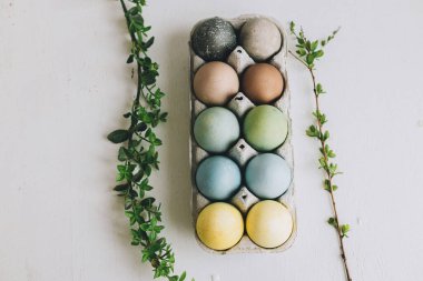 Mutlu Paskalyalar! Paskalya yumurtaları ve kırsal beyaz ahşap arka planda yeşil dal. Düz yatıyordu. Tepside doğal renkli yumurtalar ve kırsal masada bahar dalları.