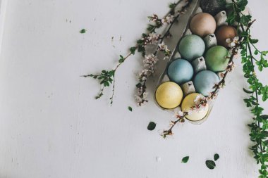 Mutlu Paskalyalar! Paskalya yumurtaları ve kiraz çiçekleri taşralı beyaz ahşap arka planda. Metin için yeri olan düz bir yer. Tepside doğal renkli yumurtalar ve kırsal masada bahar dalları.