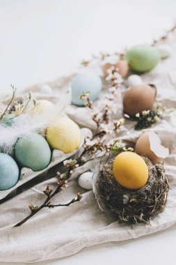 Paskalya yumurtaları ve kiraz çiçekleri kırsal keten arka planda. Mutlu Paskalyalar! Renkli doğal yumurtalar, çiçekler, tüyler ve kırsal masadaki yuva kompozisyonu. Kırsal kesimde hayat