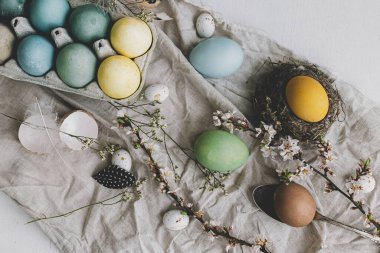 Lüks paskalya düzlükleri. Doğal boyanmış renkli yumurtalar, kiraz çiçekleri, tüyler ve beyaz kırsal masadaki keten kumaş üzerindeki yuva kompozisyonu. Mutlu Paskalyalar! Kırsal kesimde hayat