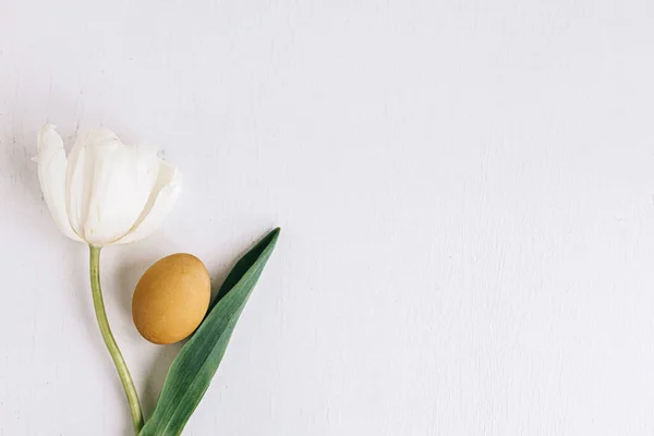 Veselé Velikonoce Stylové Velikonoční Vajíčko Tulipán Plochý Ležel Rustikální Bílé — Stock fotografie