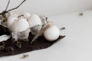 Paskalya 'nın stil sahibi sakin yaşamı. Tepside doğal yumurtalar, tüyler, söğüt dalları beyaz ahşap masada sade keten peçete. Basit kırsal Paskalya estetiği Pastel beyaz ve kahverengi renklerde