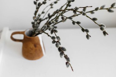 Willow branches in stylish rustic vase on wooden table. Modern Easter still life. Pussy willow branches in home, natural spring decor. Simple Easter rural minimal aesthetics. Space for text