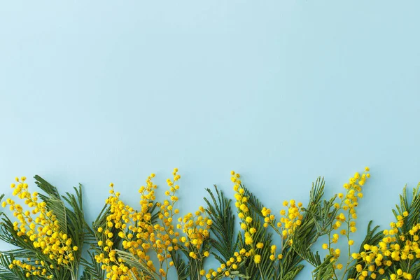 春天平躺在床上 3月8日蓝色背景上有花柱的拟南芥花 有文字空间 快乐女性日和快乐母亲日贺卡模板 美丽的花杜鹃 — 图库照片