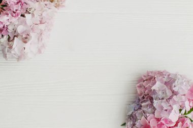 Çiçekli tebrik kartı şablonu. Kırsal beyaz ahşap düzlükteki güzel ortanca. Pembe ve mavi ortanca çiçekleri kenar, yazı için boşluk. Anneler Günün ve Kadınlar Günün kutlu olsun. Merhaba bahar.