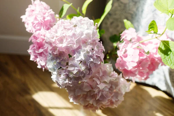 Hermosas Flores Hortensias Luz Soleada Ventana Habitación Rústica Pétalos Hortensia — Foto de Stock