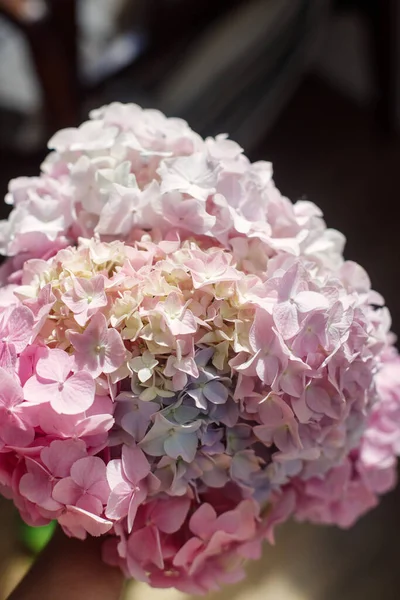Schöner Hortensienstrauß Den Händen Aus Nächster Nähe Sonnigem Raum Rosafarbene — Stockfoto