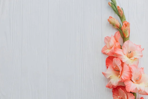 Bellissimi Fiori Gladiolus Legno Bianco Rustico Piatta Laici Con Spazio — Foto Stock