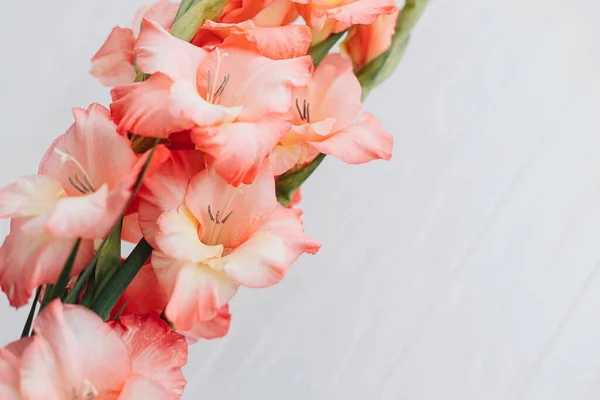 Lindas Flores Gladiolus Madeira Branca Rústica Espaço Para Texto Feliz — Fotografia de Stock