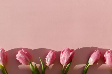 Mutlu kadınlar günü. Pembe laleler pembe arka planda yatıyordu. Modern yaratıcı bahar afişi. Merhaba bahar. Anneler Günün kutlu olsun. Çiçekli tebrik kartı, mesaj için yer var. 8 Mart