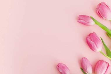 Çiçek tebrik kartı şablonu ve mesaj için boşluk. Pembe laleler pembe arka planda yatıyordu. Mutlu kadınlar günü. Anneler Günün kutlu olsun. 8 Mart. Zarif asgari yumuşak bahar bayrağı