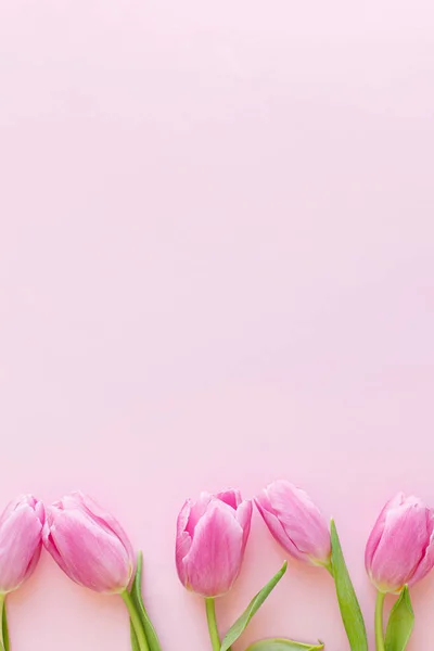 Шаблон Цветочной Открытки Пробелами Текста Марта Тюльпаны Плоские Лежали Розовом — стоковое фото