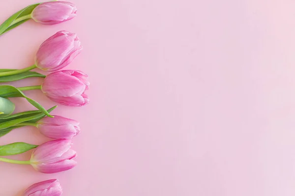 Les Tulipes Fraîches Plat Reposent Sur Fond Rose Modèle Carte — Photo