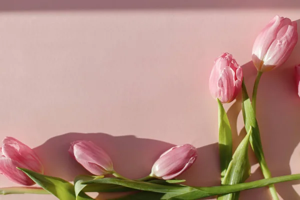 Glad Kvinnodag Rosa Tulpaner Solljus Platt Låg Rosa Bakgrund Modern — Stockfoto