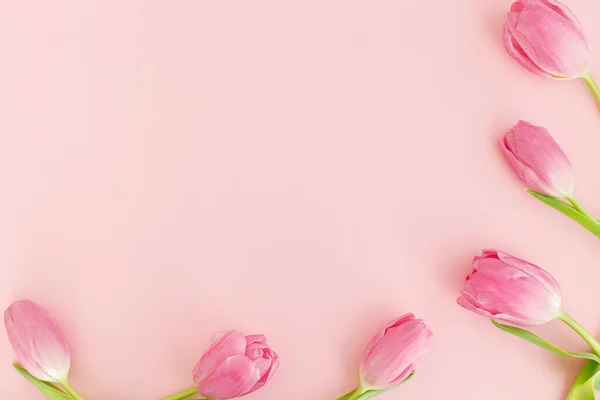 Tulipanes Frescos Planas Yacen Sobre Fondo Rosa Tarjeta Felicitación Floral — Foto de Stock