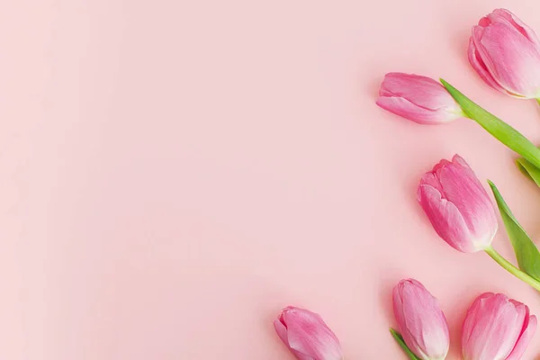 Шаблон Цветочной Открытки Пробелами Текста Розовые Тюльпаны Плоские Лежали Розовом — стоковое фото