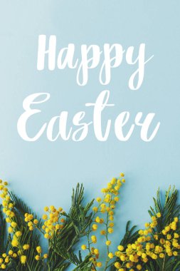Mimoza çiçekleri üzerine Mutlu Paskalya metinleri mavi arka planda yatıyordu. Şık mevsimler tebrik kartı. El yazısıyla yazılmış mutlu paskalyalar.