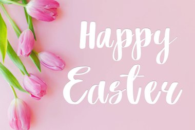 Lalelerdeki mutlu Paskalya metinleri pembe arka planda yatıyordu. Şık mevsimler tebrik kartı. El yazısıyla yazılmış mutlu paskalyalar.