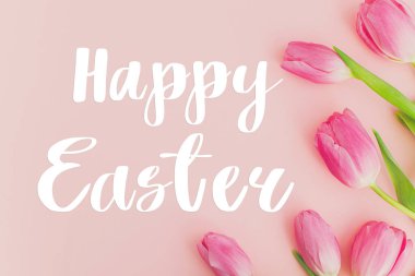 Lalelerdeki mutlu Paskalya metinleri pembe arka planda yatıyordu. Şık mevsimler tebrik kartı. El yazısıyla yazılmış mutlu paskalyalar.