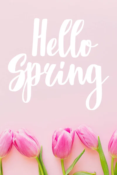 Hello Spring Text Tulips Flat Lay Pink Background Stylish Greeting — Stock Photo, Image