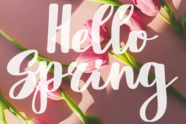 Hello Spring Text Pink Tulips Sunlight Flat Lay Pink Background — Stock Photo, Image