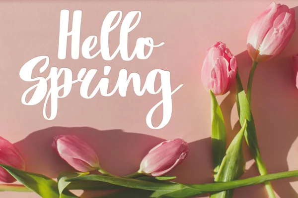 Hello Spring Text Pink Tulips Sunlight Flat Lay Pink Background — Stock Photo, Image