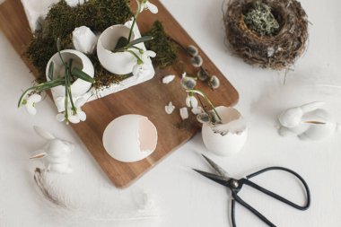 Paskalya yumurtası kabukları, çiçek açan kardelenler, tavşan heykelcikler, tüyler, eski beyaz ahşap masaya yuva. Paskalya kırsalının yaşam manzarası. Masada sade bir şenlik süsü var. Mutlu Paskalyalar!